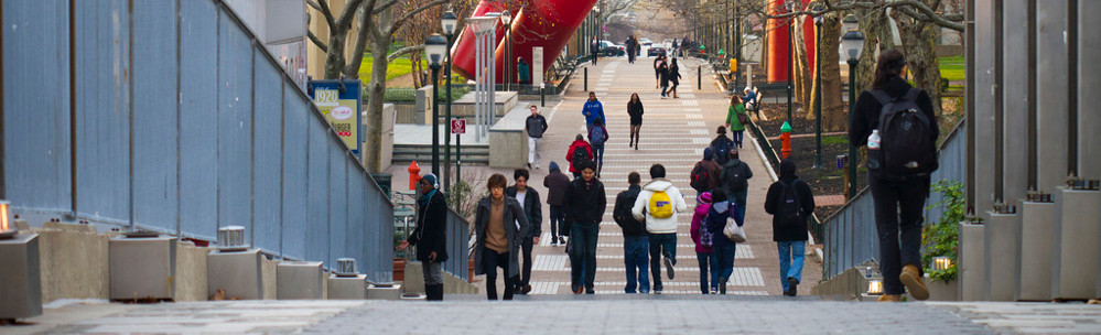 Pedestrian Overpass located on Locust Walk